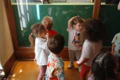 IMG-20250515-WA0040