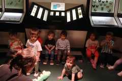 IMG-20250515-WA0041