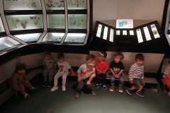 IMG-20250515-WA0042