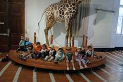 IMG-20250515-WA0045