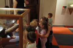IMG-20250515-WA0046