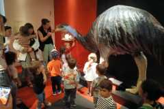 IMG-20250515-WA0049