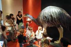 IMG-20250515-WA0051