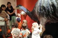 IMG-20250515-WA0053
