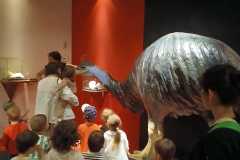 IMG-20250515-WA0054