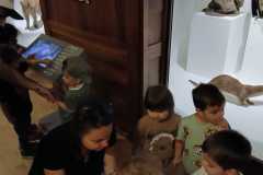 IMG-20250515-WA0055