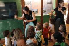 IMG-20250515-WA0059