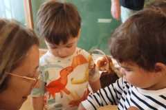 IMG-20250515-WA0060