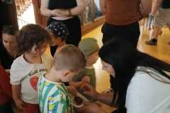 IMG-20250515-WA0061