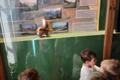 IMG-20250515-WA0063