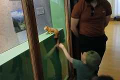 IMG-20250515-WA0064
