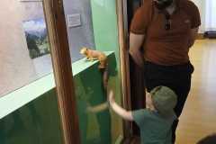 IMG-20250515-WA0066