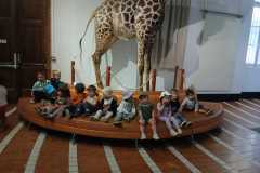 IMG-20250515-WA0070