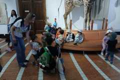IMG-20250515-WA0071