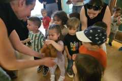 IMG-20250515-WA0078