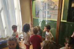 IMG-20250515-WA0081