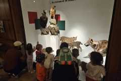 IMG-20250515-WA0083