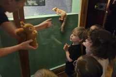 IMG-20250515-WA0086