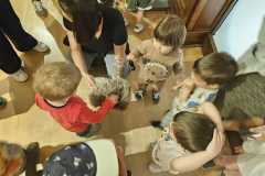 IMG-20250515-WA0088