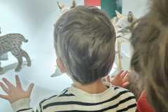 IMG-20250515-WA0089