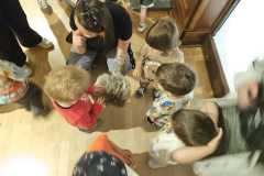 IMG-20250515-WA0092