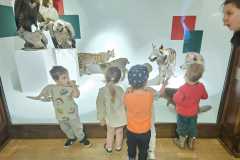 IMG-20250515-WA0094