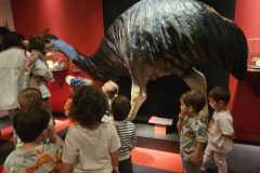 IMG-20250515-WA0096