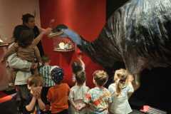 IMG-20250515-WA0100