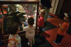 IMG-20250515-WA0102