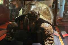 IMG-20250515-WA0107