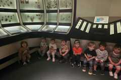 IMG-20250515-WA0108
