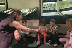 IMG-20250515-WA0110