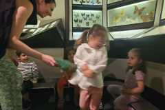 IMG-20250515-WA0111