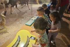 IMG-20250515-WA0112