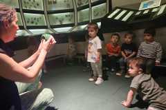 IMG-20250515-WA0115