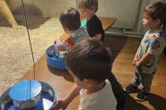 IMG-20250515-WA0117