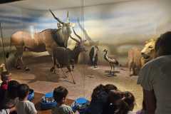 IMG-20250515-WA0118