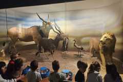 IMG-20250515-WA0119