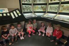 IMG-20250515-WA0124