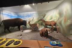 IMG-20250515-WA0126