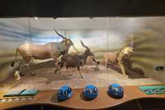 IMG-20250515-WA0127