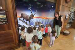 IMG-20250515-WA0128