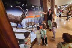 IMG-20250515-WA0129