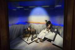 IMG-20250515-WA0131