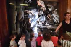IMG-20250515-WA0132