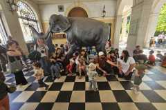 IMG-20250515-WA0135