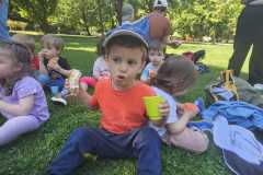 IMG-20250515-WA0141