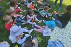 IMG-20250515-WA0145