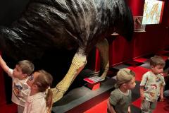 IMG-20250515-WA0152