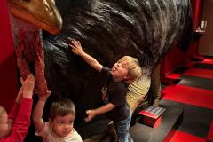 IMG-20250515-WA0153